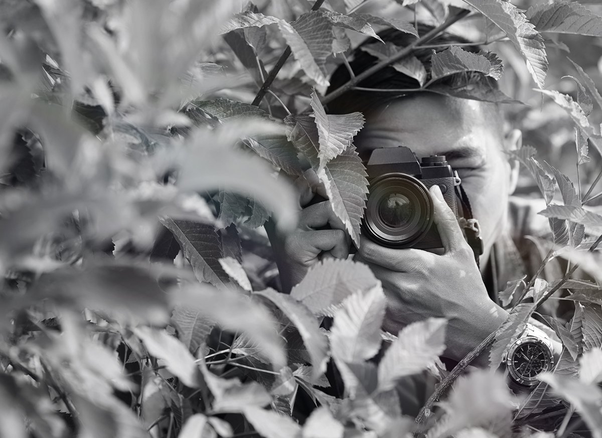 Cara Jual Foto di Shutterstock Upload Foto Dapat Uang! Jasa Pembuatan Website Profesional