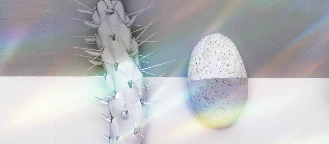 jasa pembuatan website