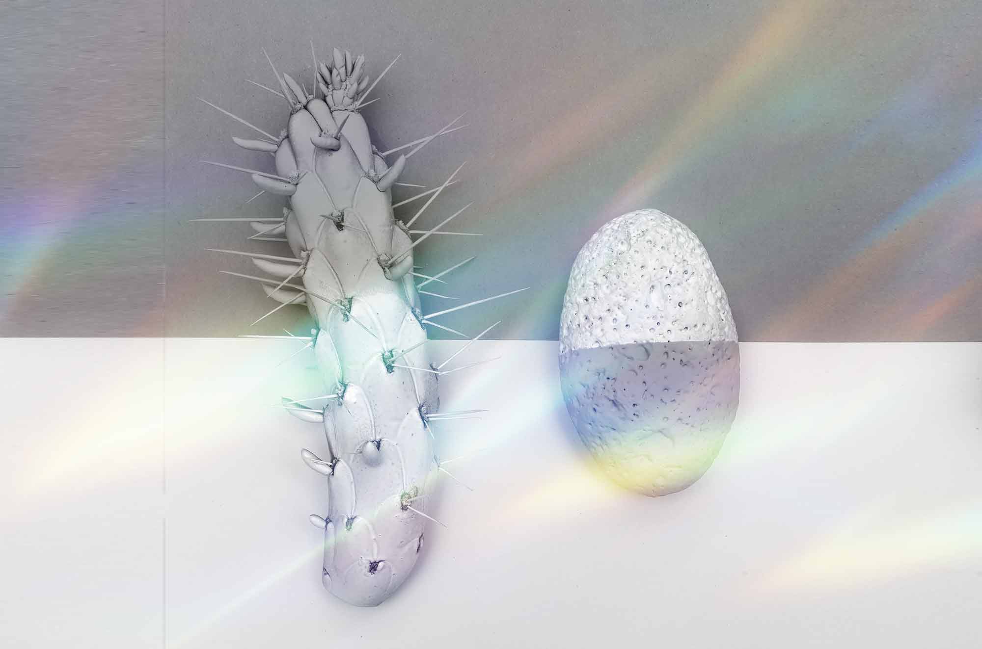 jasa pembuatan website