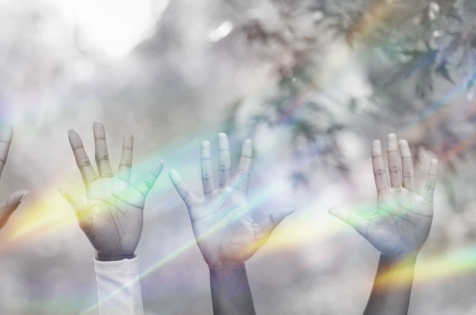 jasa pembuatan website